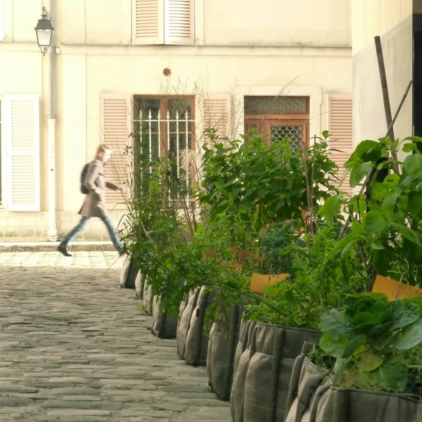 Bacsac Baclong 3 Fabric Planter, 110 L, Geotextile 2 Bacsac Baclong 3 Fabric Planter, 110 L, Geotextile - Image 2