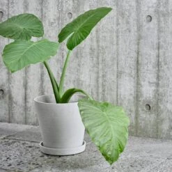 HAY Flowerpot And Saucer, L, Grey 6 HAY Flowerpot And Saucer, L, Grey -Garden Furniture Store 17NewHay HV 1