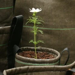 Bacsac Geotextile Pot 10 L, Geotextile -Garden Furniture Store 25Bacsac iso 1