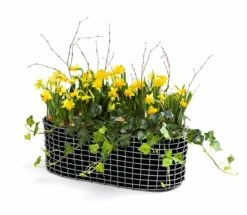 Korbo Balcony Planting Basket, Acid Proof Stainless Steel 8 Korbo Balcony Planting Basket, Acid Proof Stainless Steel -Garden Furniture Store 59c7791b 7837 47c1 9584 54e6b2d23ac3