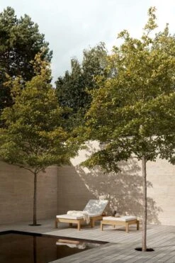 Carl Hansen & Søn AH604F Seat Cushion, Agora Life Oat -Garden Furniture Store AH604 AH604F teak untreated CUAH604 CUAH604F agoralisolifeoat detail