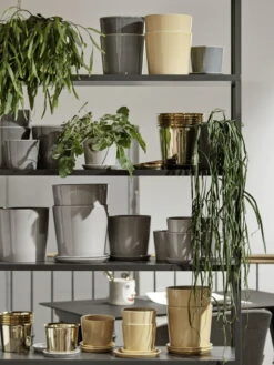 HAY Botanical Family Pot And Saucer, M, Light Grey -Garden Furniture Store Botanical Family New Order shelving system2C charcoal HAY Aarhus