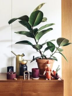 Klong Svante Watering Can, Brass -Garden Furniture Store Fds joulu1718 media