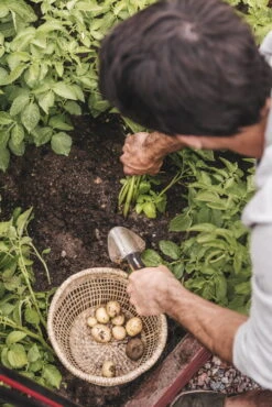 Fiskars Xact Trowel -Garden Furniture Store Fiskars Garden Action Summer Harvest Xact Trowel 1027043 01