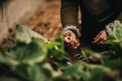 Fiskars Xact Hand Rake -Garden Furniture Store Fiskars Garden Action Xact Hand rake 1027044