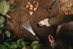 Fiskars Xact Hand Rake -Garden Furniture Store Fiskars Garden Action Xact Trowel Hand rake 1027043 1027044