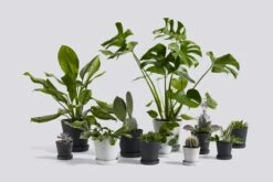 HAY Flowerpot And Saucer, M, Grey -Garden Furniture Store Flowerpot Family 2