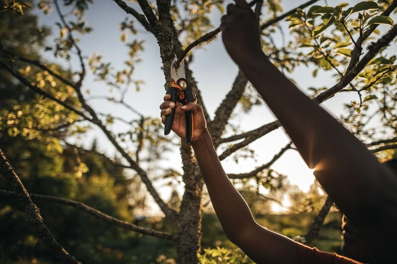 Fiskars X-Series Bypass Pruner L, P961 5 Fiskars X-Series Bypass Pruner L, P961 - Image 5