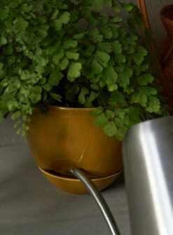 MENU Hydrous Watering Can, Steel -Garden Furniture Store MENU Hydrous Planter Hydrous Watering Can 5