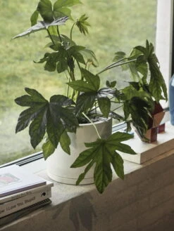 HAY Plant Pot With Saucer, XXL, White -Garden Furniture Store Plant Pot with Saucer off white