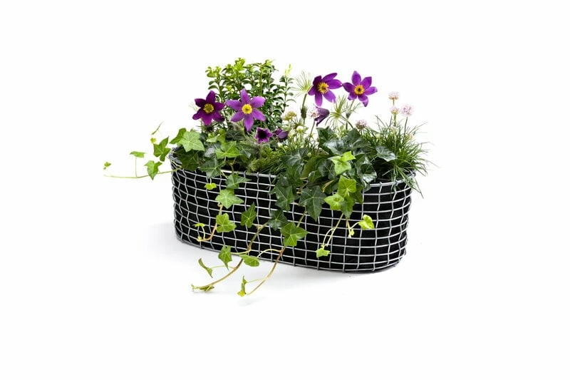 Korbo Balcony Planting Basket, Acid Proof Stainless Steel 2 Korbo Balcony Planting Basket, Acid Proof Stainless Steel - Image 2